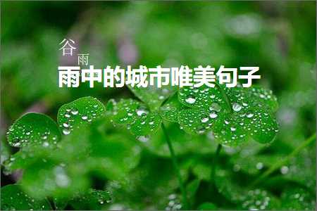 网站推广报告 雨中的城市唯美句子（文案953条）